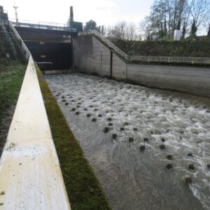 Automatic Water Regulator