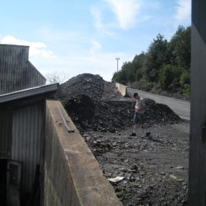 Feed Distribution Auger