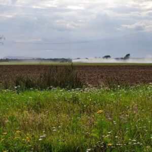 Broadcast Seeder