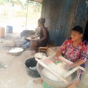 Cassava Flour Processing Line