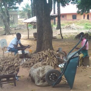 Cassava Peeler