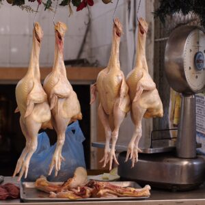 Chicken Plucker