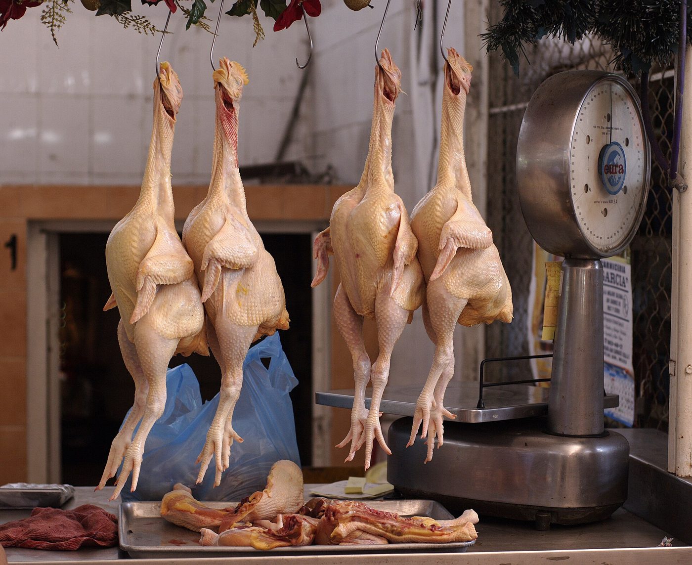 Chicken Plucker