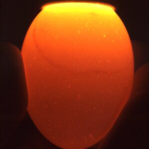 Egg Candling Machine