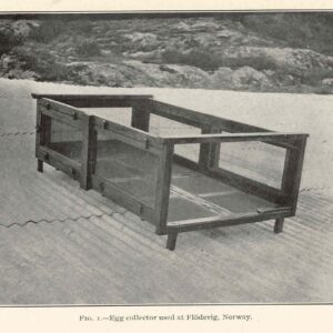 Egg Collector for Layer Cage