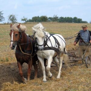 Field Cultivator