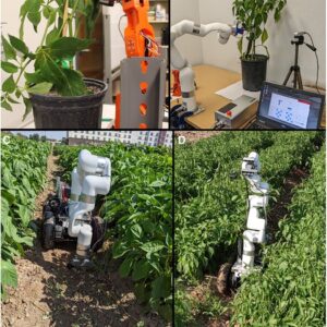 Fruit Harvesting Robot