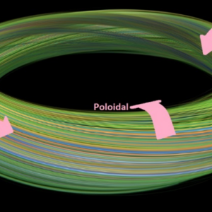 Tokamak Fusion Reactor Core Vessel