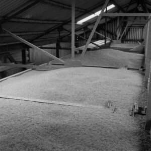 Grain Dryer