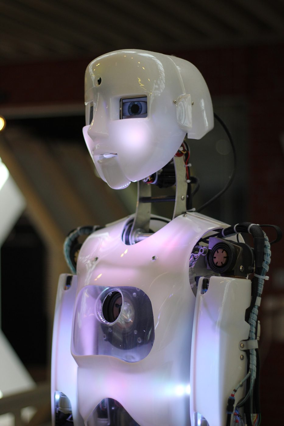Humanoid Service Robot - Image 2