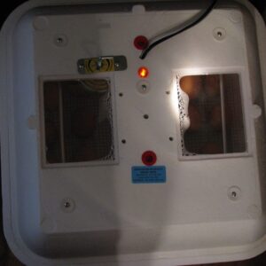 Industrial Egg Incubator
