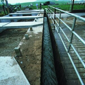 Poultry Manure Separator