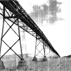 Central Manure Removal System