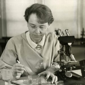 Veterinary Microscope