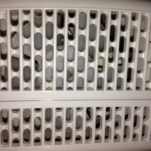 Veterinary Nebulizer