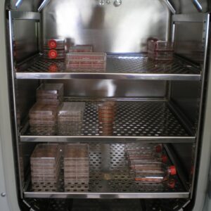 Constant Temperature Incubator