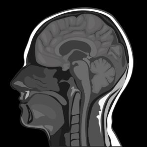 Medical Imaging Equipment