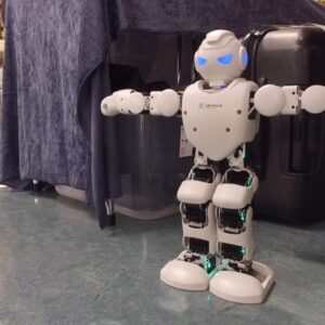 Humanoid Robots
