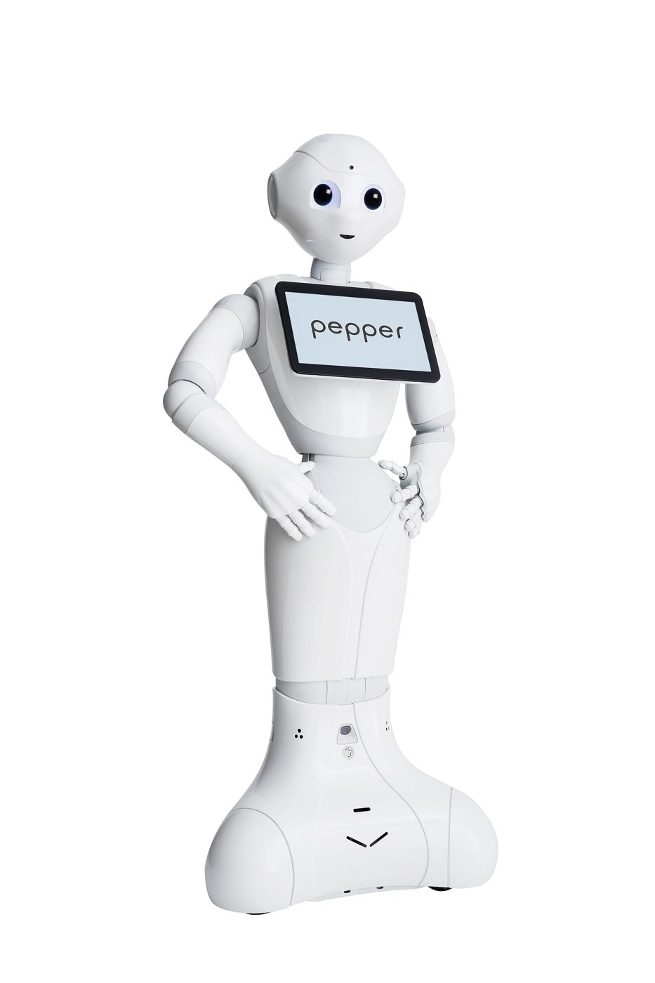 Service Robots