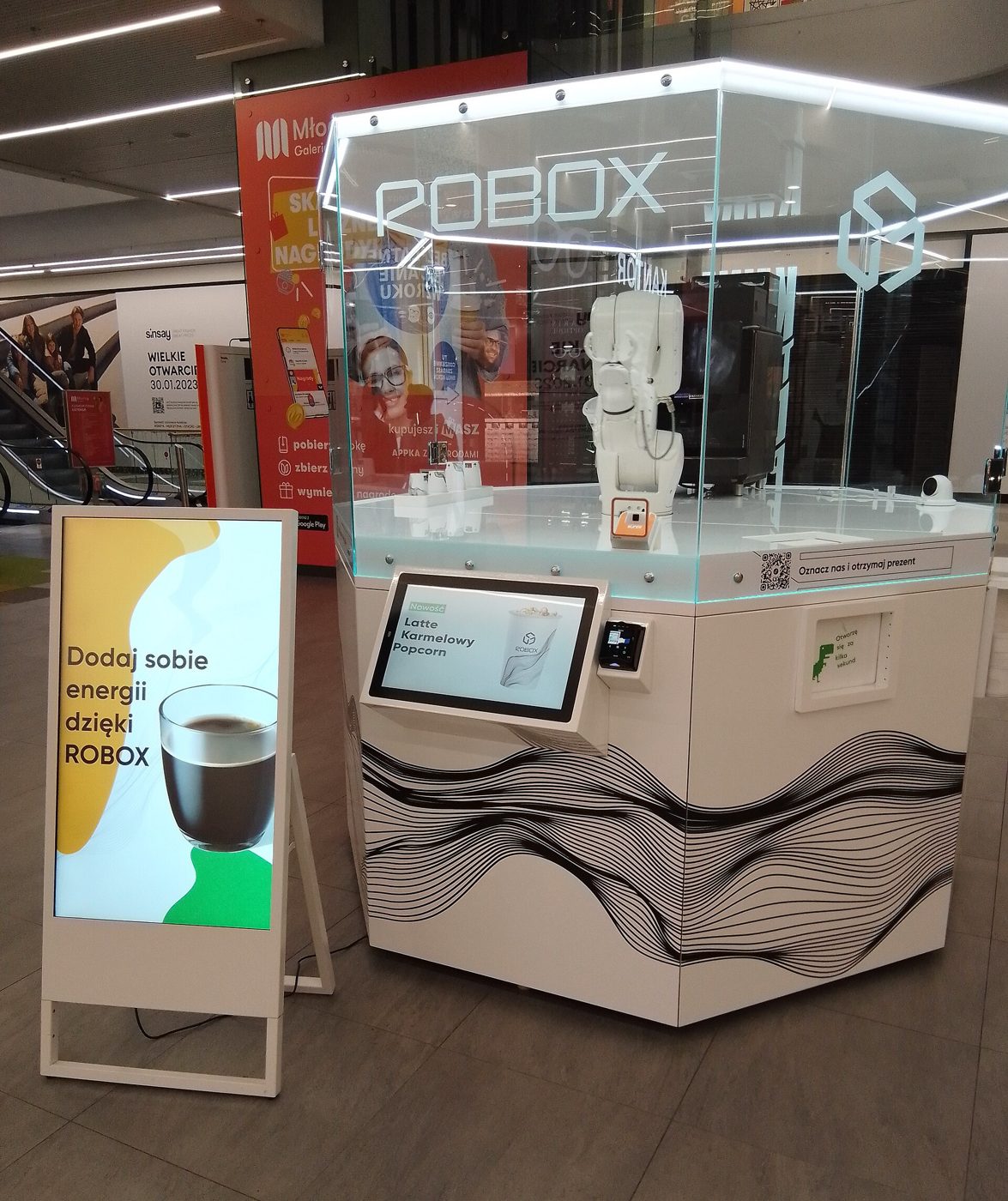 Service Robots