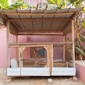 Smart Chicken Farm Turnkey Project