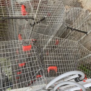 A-Type Layer Cage System