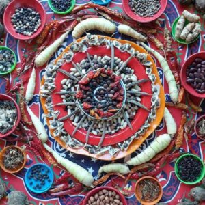 Seed Metering Plate