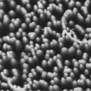 Wet Chemical Etching Equipment