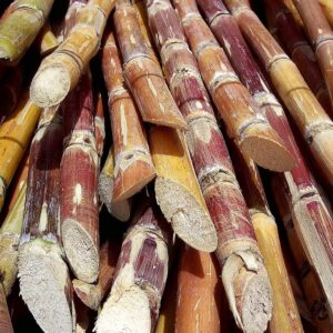 Sugarcane Planter